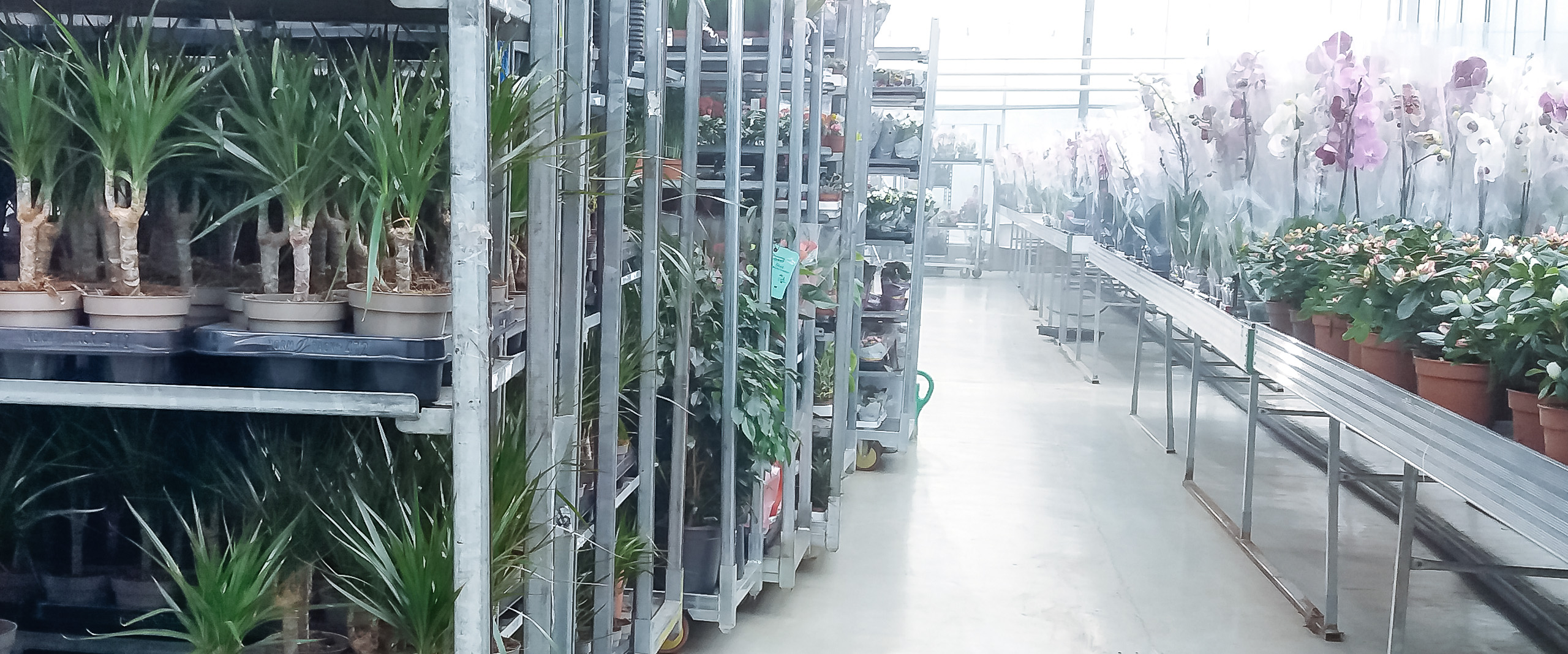 gartencenter_greenware